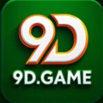 9DGame